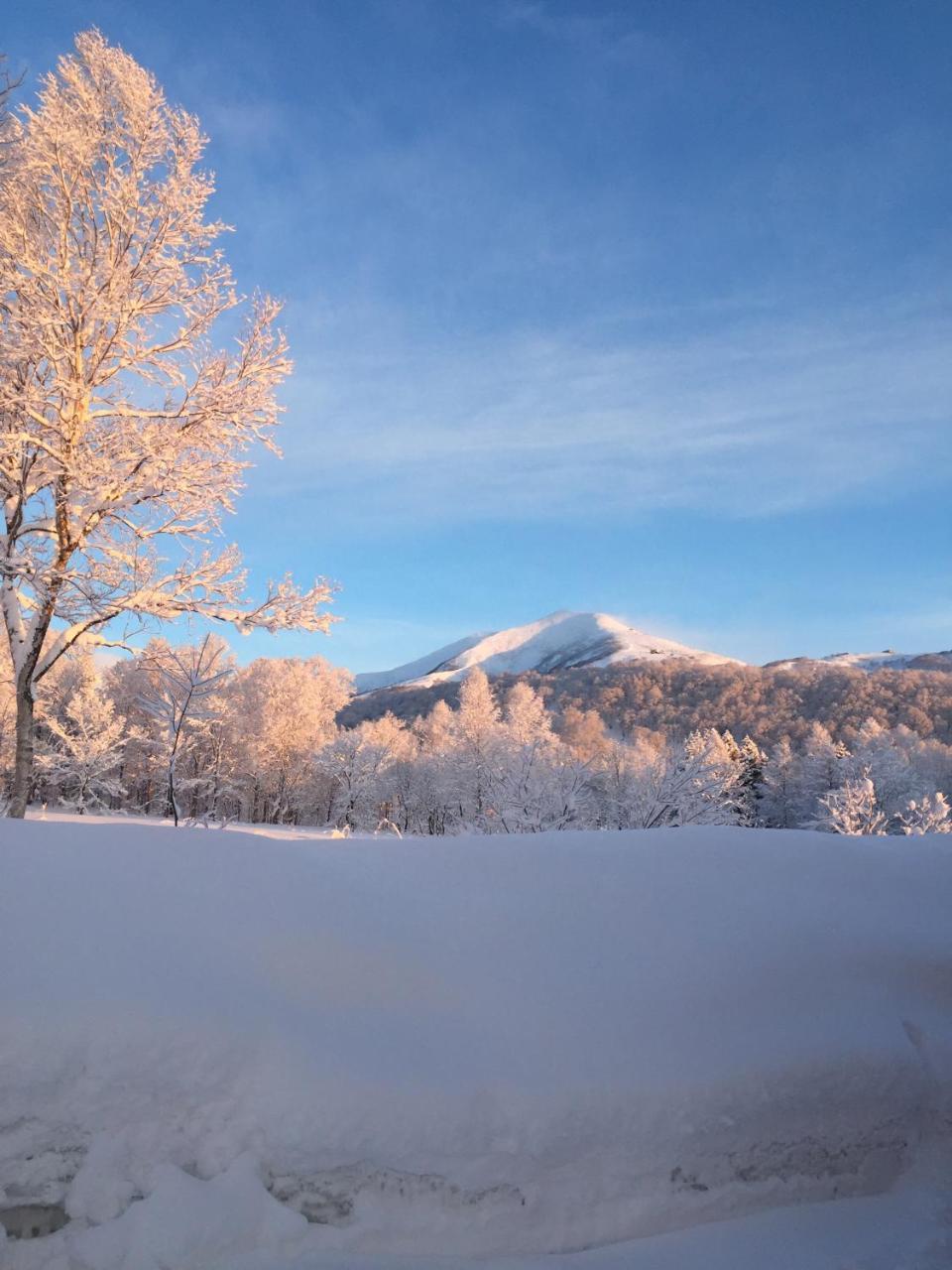 Niseko Guesthouse Nalu. Buitenkant foto